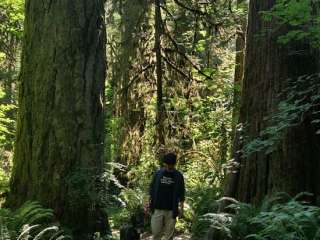 Eagle Creek Forest Camp