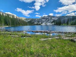 Hard Creek/Upper Hazard Lake Trailhead