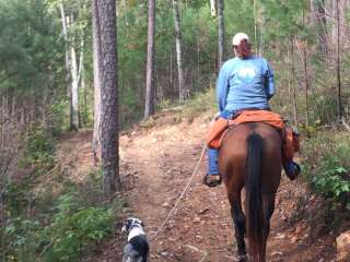 Warden Station Horse Camp