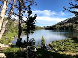 Chamberlain Basin Dispersed Camping Area