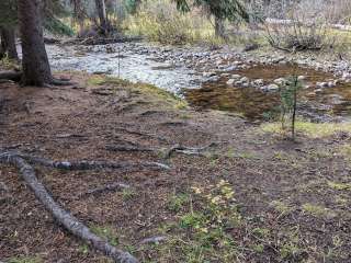 Paddy Flat Campground