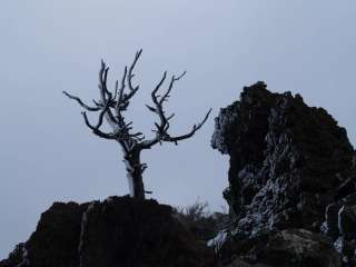 Group Campground — Craters of the Moon National Monument