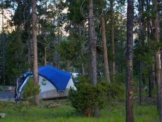 Outlet Campground at Redfish Lake