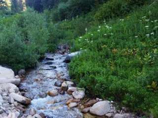 Hayfork Group Campground