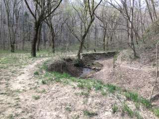 Sipsey Wilderness Backcountry Site (Trail 200 Site G)