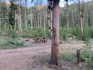 Custer #1 Campground