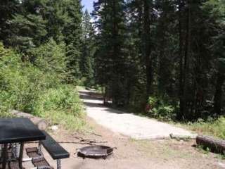 Cold Springs Campground - Boise Nf (ID)