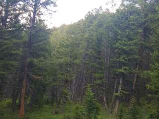 Timber Creek Reservoir