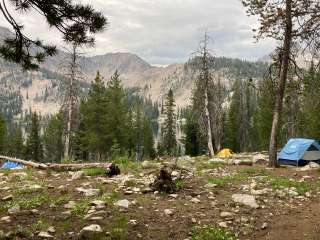 Toxaway Lake Primitive Campsite