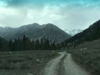 Cougar Dispersed Camping Area