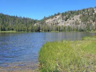 Challis National Forest Little Bayhorse Campground