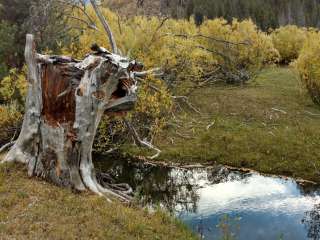 Carrie Creek Campground