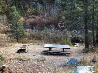 Bad Bear Picnic Area