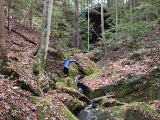 Sipsey Wilderness Backcountry Site (Trail 200 Site H)