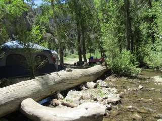 Pass Creek Narrows Camping Area & Picnic Site