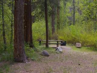 Dog Creek Campground - Idaho