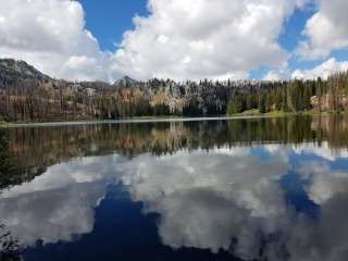 Little Trinity Lake Picnic Area