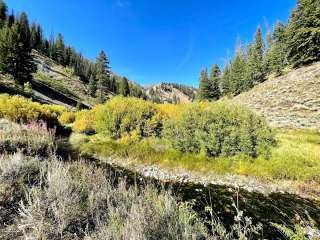 Rooks Creek Campground