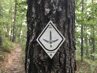 Pinhoti Trail Backcountry after passing McDill Point — Cheaha State Park