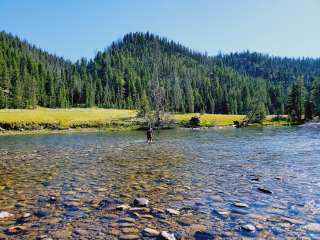 Salmon River Roadside Camp