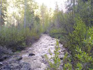 Sawtooth National Forest Willow Creek Transfer Campground