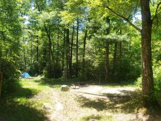 Wash Creek Dispersed Campsites #4 and #5