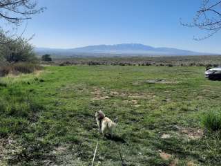 McClendon Spring Campground