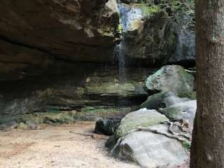 Sipsey Wilderness Backcountry Site (Trail 207 Site C)