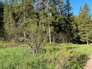 Moose Creek Trailhead Dispersed Area