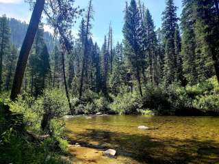 Targhee National Forest Trail Creek Campground