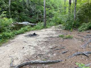 Riverside Skyway Loop Backcountry Site