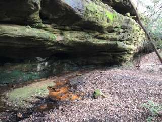 Sipsey Wilderness Backcountry Site (Trail 200 Site L)