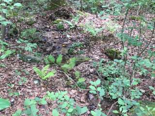 Pinhoti Campground North of Talladega Scenic Drive 2 