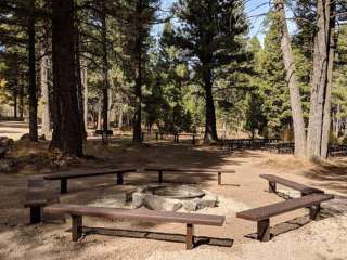 Stoddard Creek Campground