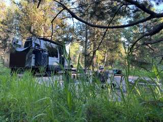 Targhee National Forest Riverside Park Campground