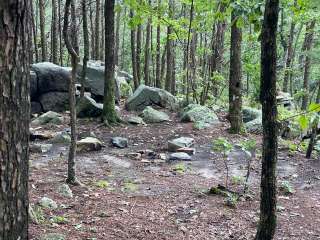 McDill Point Intersection — Cheaha State Park