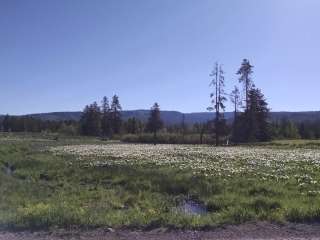 Pole Bridge Campground