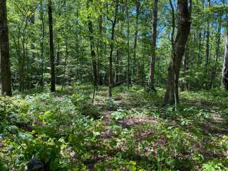 Chinnabee Silent Trail Backcountry Site 4