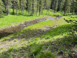 East Fork on Cream Creek