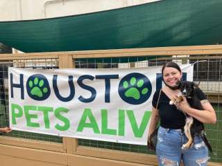 Houston Shelter