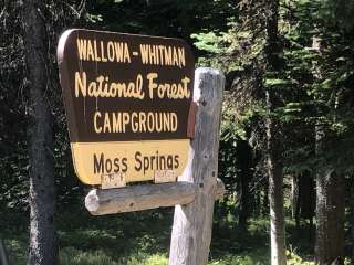 Moss Springs Campground