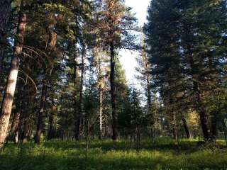 Bird Track Springs Campground 