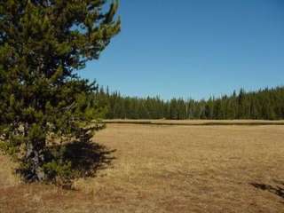 Mud Lake Campground