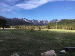 Glacier Basin Campground — Rocky Mountain National Park