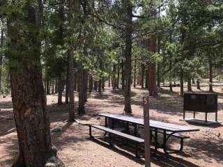 Meeker Park Overflow Campground