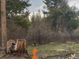 Stillwater Pass Dispersed Campsite