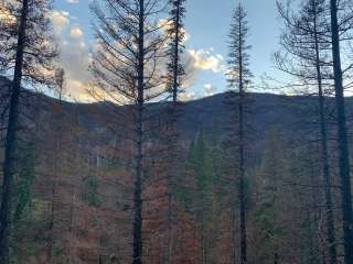 Laramie River Road Dispersed 