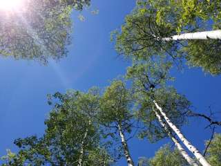 Frazer Meadow Campground — Golden Gate Canyon