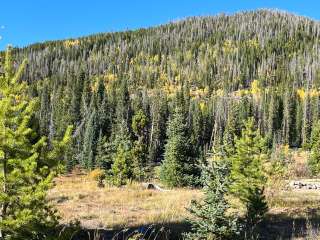 Ranger Lakes Campground — State Forest State Park