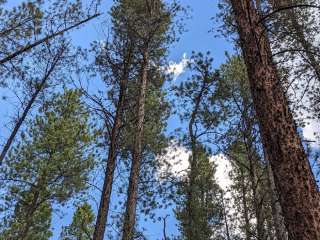 Ceran St. Vrain Trail Dispersed Camping